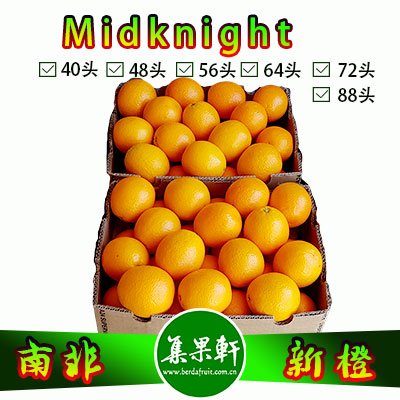 南非进口蜜奈夏橙Midknight品种 15公斤