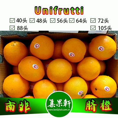 南非进口脐橙Navel品种 | unifrutti牌15公斤