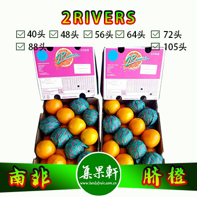 南非进口脐橙Navel品种 | 2rivers牌15公斤