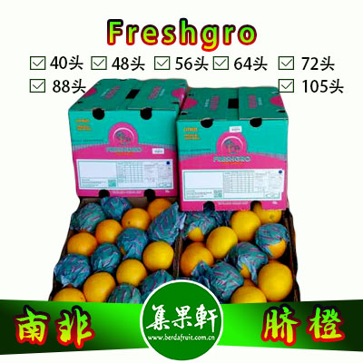 南非进口脐橙Navel品种 |Freshgro牌15公斤