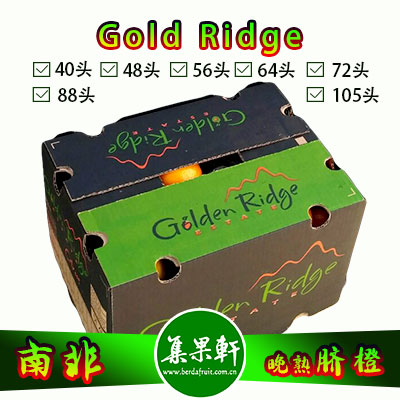 南非Gold Ridge牌进口晚熟脐橙