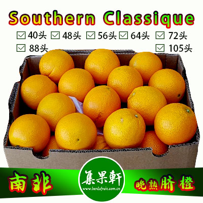 南非Southern Classique晚熟脐橙