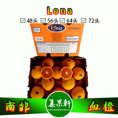 南非进口血橙Cara Cara品种 | lona牌15公斤40头规格