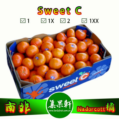 南非进口Sweet C牌Nadorcott橘