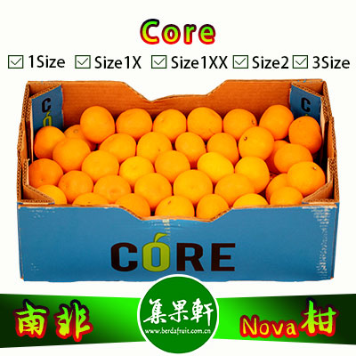 南非CORE系列Nova柑