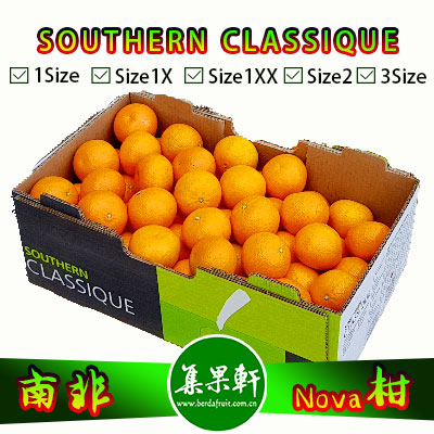 南非Nova柑SOUTHERN CLASSIQUE牌