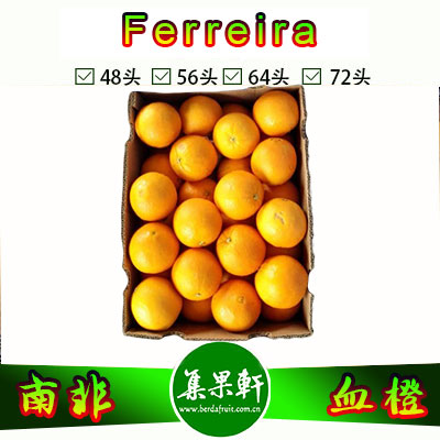 南非Ferreira牌血橙