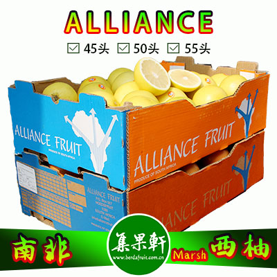 南非白肉西柚Marsh品种ALLIANCE品牌17公斤50头