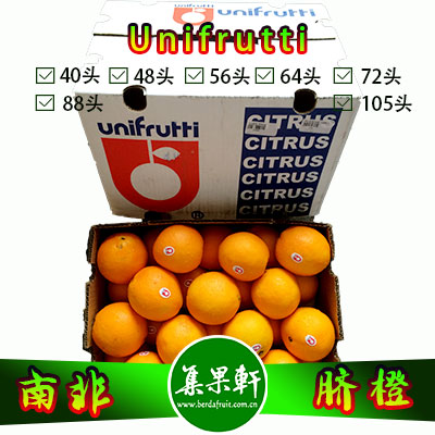 南非进口脐橙Navel品种 | unifrutti牌15公斤48头规格