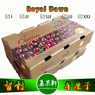 进口水果一级批发货源--智利车厘子批发货源 进口水果一级批发货源--智利车厘子批发货源