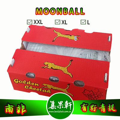 南非进口有籽青提批发，MOONBALL月亮球/兵乓球葡萄货源，规格XXL4.5公斤9斤装