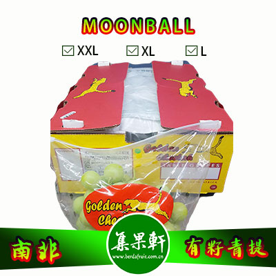 南非进口有籽青提批发，MOONBALL月亮球/兵乓球葡萄货源，规格XL4.5公斤9斤装