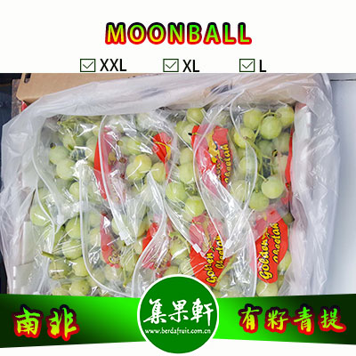 南非进口有籽青提批发，MOONBALL月亮球/兵乓球葡萄货源，规格XXL4.5公斤9斤装