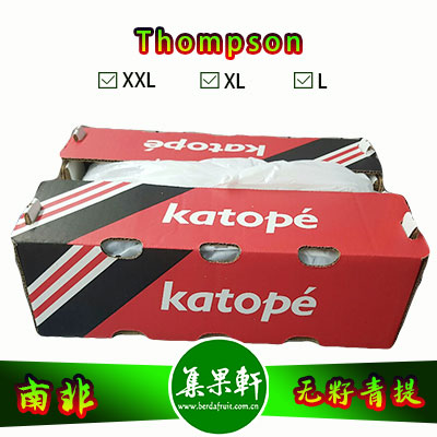 南非进口Thompson无籽青提汤姆森品种货源批发，品牌katope 重量4.5公斤规格L，5箱起批