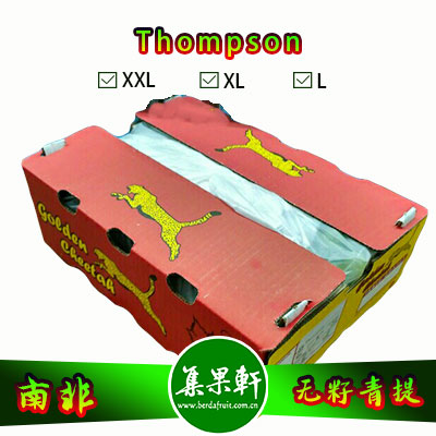 南非进口Thompson无籽青提汤姆森品种货源批发，品牌金豹鲜果， 重量4.5公斤规格L，5箱起批