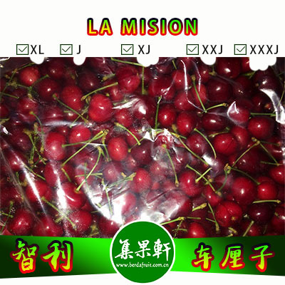 智利LA MISION车厘子批发，重量4.5公斤，规格J/JJ/JJJ，农场直供，一手货源