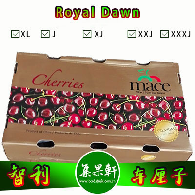 智利进口车厘子批发Royal Dawn品种皇家囤资源，原装10斤，规格J/JJ/JJJ，一级批发货源，市场批发价格实惠，量大价格从优