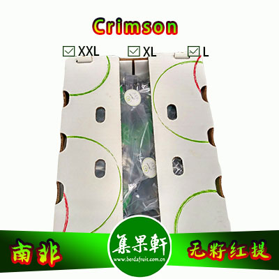 南非进口Crimson克瑞森葡萄货源，GA牌无籽红提批发，重量4.5公斤，规格XL，一级货源供应，鲜食口感佳葡萄