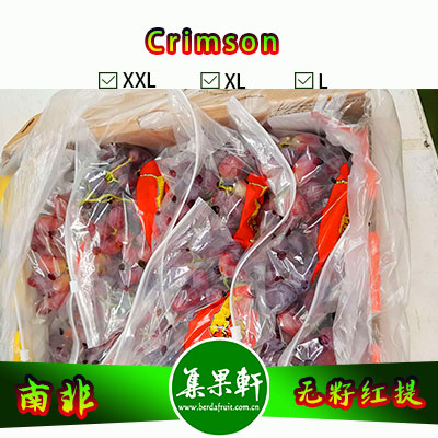 南非进口Crimson克瑞森葡萄货源，金豹鲜果牌无籽红提批发，重量4.5公斤，规格L，一级货源供应，鲜食口感佳葡萄