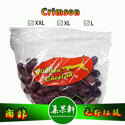 南非进口Crimson克瑞森葡萄货源，金豹鲜果牌无籽红提批发，重量4.5公斤，规格XL，一级货源供应，鲜食口感佳葡萄