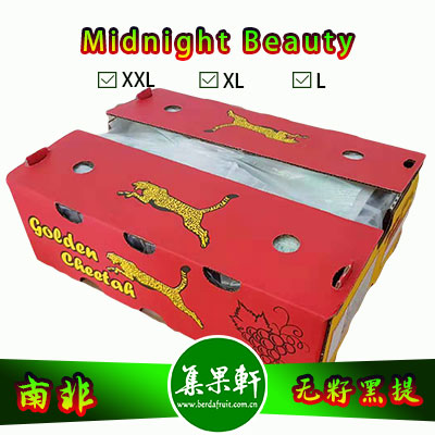 南非进口无籽黑提甜十三/午夜美人Midnight Beauty货源批发，金豹鲜果品牌，重量4.5公斤，规格 L，甜度高的黑葡萄，品质上佳，价格优惠