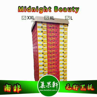 南非进口无籽黑提甜十三/午夜美人Midnight Beauty货源批发，金豹鲜果品牌，重量4.5公斤，规格X L，甜度高的黑葡萄，品质上佳，价格优惠