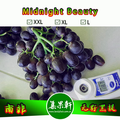 南非进口无籽黑提甜十三/午夜美人Midnight Beauty货源批发，GA品牌，重量4.5公斤，规格X L，甜度高的黑葡萄，品质上佳，价格优惠