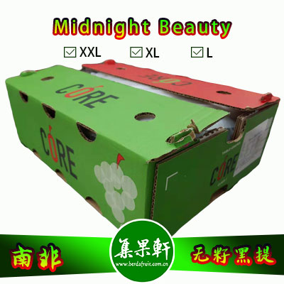 南非进口无籽黑提甜十三/午夜美人Midnight Beauty货源批发，Core品牌，重量4.5公斤，规格 L，甜度高的黑葡萄，品质上佳，价格优惠