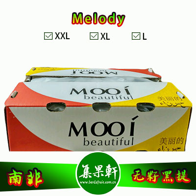 南非进口无籽黑提批发Melody旋律品种 ， Mooi牌重量4.5公斤XL规格黑葡萄，好吃价格又实惠