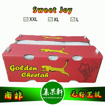 南非进口无籽黑提批发Sweet Joy甜蜜葡萄品种，金豹鲜果牌，重量原装9斤，规格XL，一级进口货源，供应时间短暂，批发价格优惠