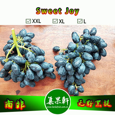 南非进口无籽黑提批发Sweet Joy甜蜜葡萄品种，Mooi牌，重量原装9斤，规格XL，一级进口货源，供应时间短暂，批发价格优惠