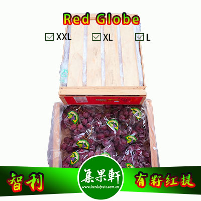 智利进口有籽红提Red Globe品种 | 金豹牌8公斤XL规格