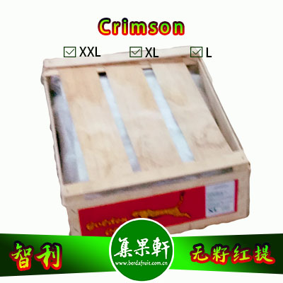智利金豹无籽红提L