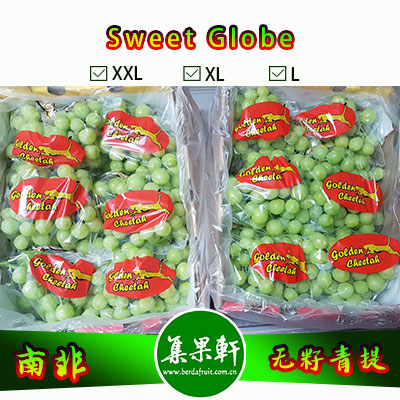 南非进口无籽青提批发新品种甜地球 Sweet Globe货源供应，进口水果行业金豹鲜果品牌，4.5公斤9斤原装，规格L，非香印