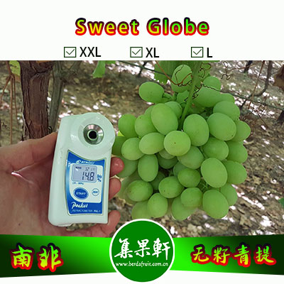 南非进口无籽青提批发新品种甜地球 Sweet Globe货源供应，非香印，进口水果行业金豹鲜果品牌，4.5公斤9斤原装，规格XL