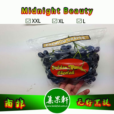 南非进口无籽黑提甜十三/午夜美人Midnight Beauty货源批发，金豹鲜果品牌，重量4.5公斤，规格 L，甜度高的黑葡萄，品质上佳，价格优惠